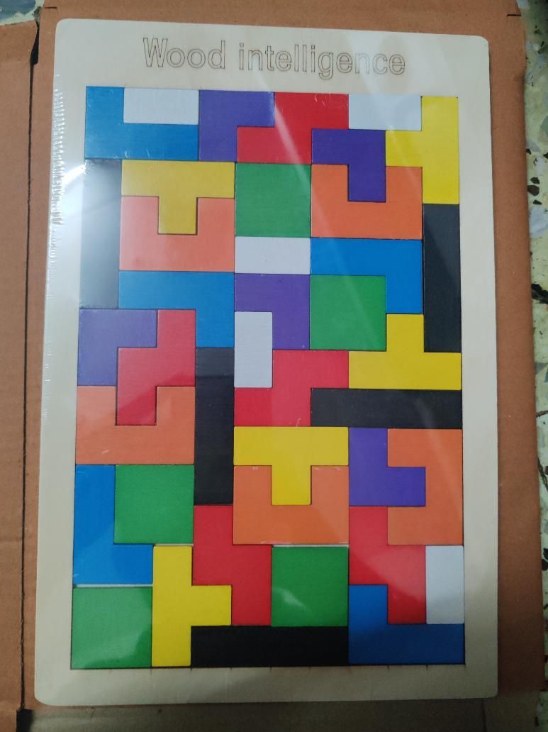 Wooden Intelligence Puzzle